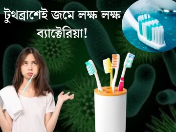 টুথব্রাশেই জমে লক্ষ লক্ষ ব‍্যাক্টেরিয়া! রোজ সকালে ধুতে গিয়েই হচ্ছে বড় ভুল