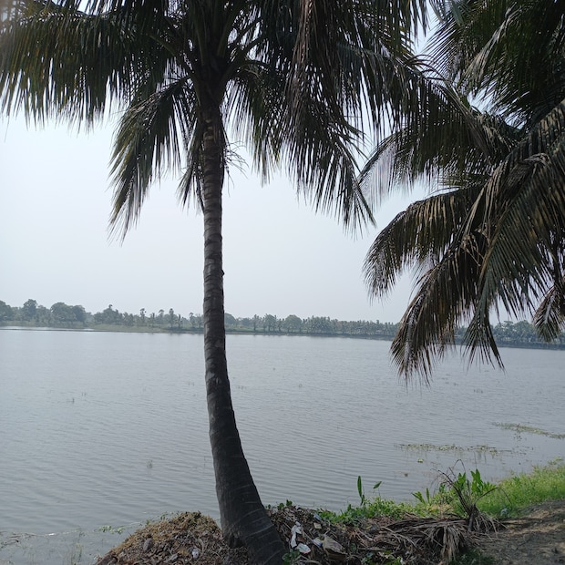 ★বৃষ্টি কমবে তাপমাত্রা বাড়বে, গরম ও অস্বস্তি বাড়বে উত্তরবঙ্গে। শুধুমাত্র দার্জিলিং ও কালিম্পং আগামী দু'দিন হালকা বৃষ্টি। মঙ্গলবার সামান্য বাড়তে পারে বৃষ্টির চার জেলায়। রবিবার এবং বুধবার থেকে তাপপ্রবাহের সতর্কবার্তা মালদহ উত্তর ও দক্ষিণ দিনাজপুর জেলার কিছু অংশে।