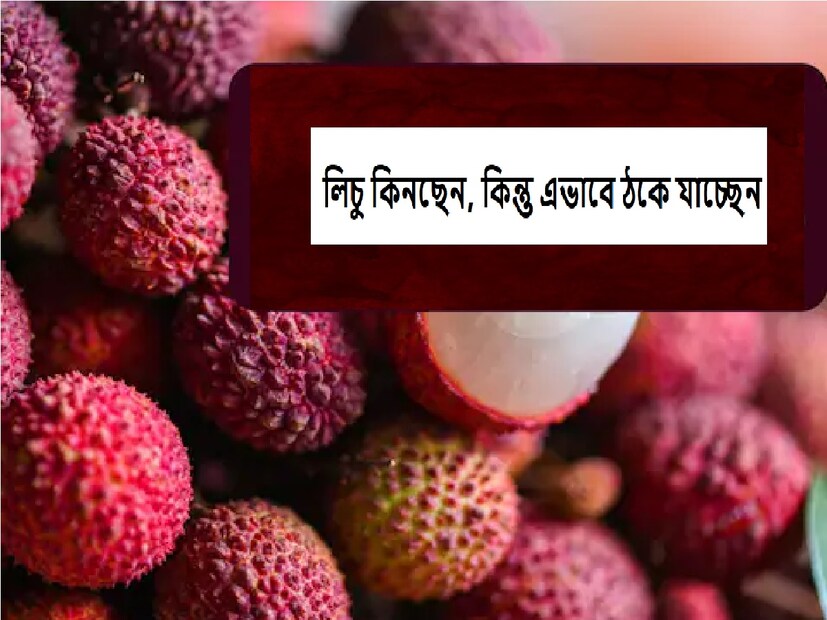 : আমের পর গ্রীষ্মের মরশুমে সবচেয়ে বেশি উপভোগ্য যদি কোনও ফল থাকে তা হল লিচু। হ্যাঁ, অনেকটা স্ট্রবেরির মতো দেখতে এই ফলটি ভিটামিন সি, কপার, পটাসিয়াম এবং অ্যান্টিঅক্সিডেন্টে ভরপুর। এটি অ্যালিগেটর স্ট্রবেরি নামেও পরিচিত।