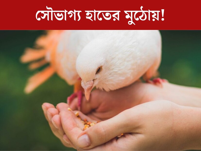 পাখিকে দানা খাওয়াতে অনেকেই ভালবাসেন। বাস্তুশাস্ত্রে মতে, পাখিদের খাবার ও জল দেওয়া অত‍্যন্ত শুভ কাজ। তবে পাখিদের খাবার ও জল দেওয়ার সময় কিছু নিয়মের কথা বলা হয়েছে। এইসব নিয়ম মেনে চললে পাখিদের দানা খাইয়েই ফিরতে পারে ভাগ‍্য। 