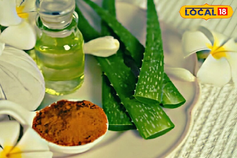 অ্যালোভেরা জেলের সঙ্গে এক চিমটে হলুদ গুঁড়ো মিশিয়ে নিতে পারেন। চাইলে সামান্য একটু বেসন দেওয়া ব্যবহার করুন। এই মিশ্রণ মেখে রেখে রাখুন মিনিট ১৫। শুকিয়ে গেলে ধুয়ে ফেললেই হবে।