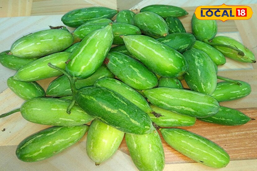 ভাবলে অবাক হবেন তেলাকুচার অনন্য গুণ। যুগ যুগ ধরে আমাদের দেশের বৈদ্যরা বিভিন্ন রোগ নিরাময়ের জন্য এই তেলাকুচা ব্যবহার করে আসছেন।ছবি ও তথ্য: মৈনাক দেবনাথ