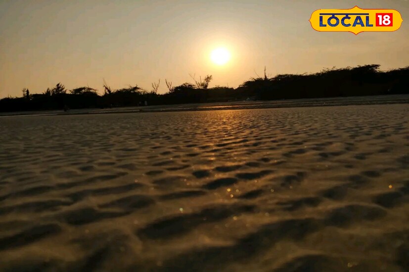 সুন্দরি ও ম্যানগ্রোভ নামের দুটি ট্যুরিস্ট লজে এসি ও নন এসি রুম ভাড়াতে পাওয়া যায়। ৫৯ দিন আগে পশ্চিমবঙ্গ মৎস্য দফতরের ওয়েবসাইট থেকে বুকিং করা যায়। বুকিং এর জন্য এসি ১৬০০ টাকা নন এসি ১৪০০ টাকা।