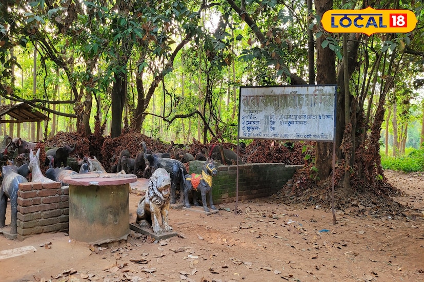 জঙ্গলমহল ঝাড়গ্রামের নয়াগ্রাম থানার অন্তর্গত কালুয়া ষাঁড় এলাকায় রয়েছে লৌকিক দেবতার মন্দির। গাছের নিচে দেবতার অবস্থান।