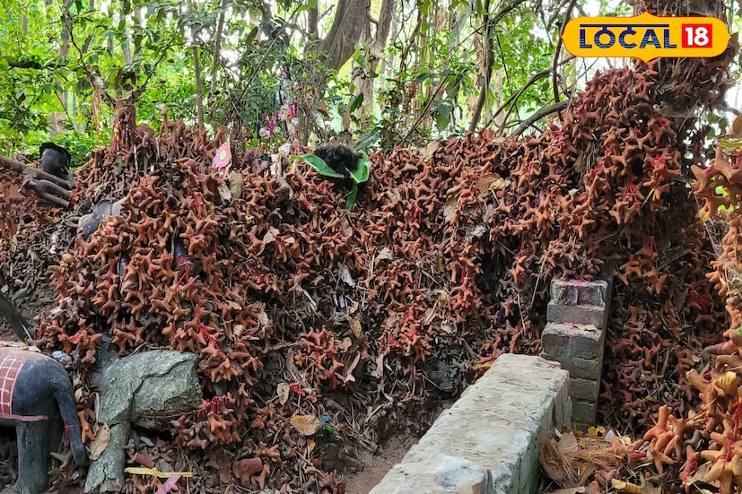 জঙ্গলমহলের প্রত্যন্ত গ্রামীণ এলাকায় লোধা অধ্যুষিত গ্রামে জঙ্গলের মধ্যে লৌকিক দেবতার অবস্থান। এখানে মূলত হাতি ঘোড়াকেই পুজো করা হয়।
