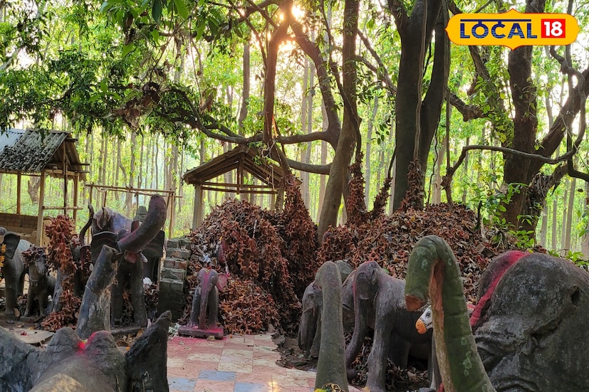 পৌষ সংক্রান্তির দিনে বড় উৎসব হলেও সপ্তাহের শনি এবং মঙ্গলবার বেশ ভিড় জমে এখানে।