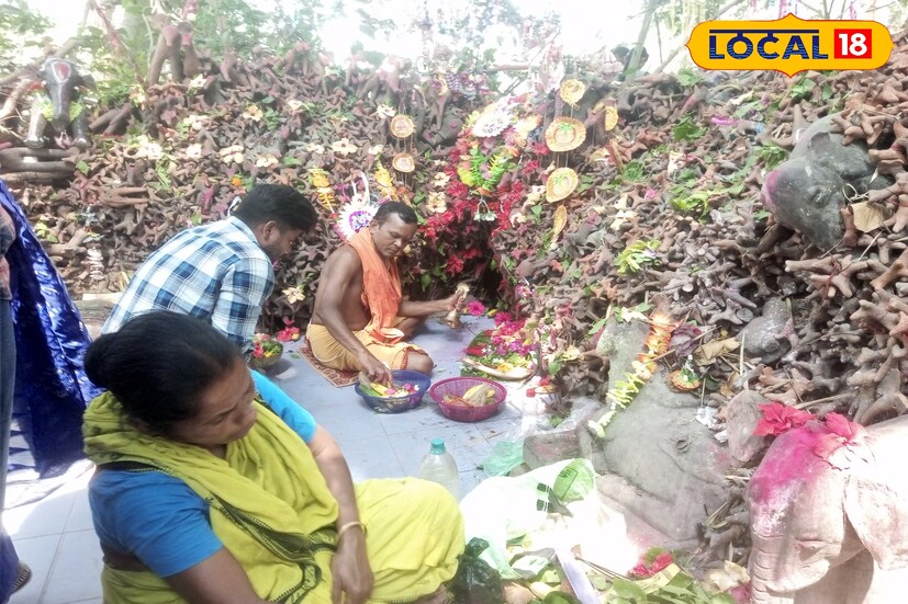মনস্কামনা পূরণের আশায় শুধু বাংলা নয়, ওড়িশা বহু মানুষ আসেন এখানে পুজো দিতে। ইতিহাস গবেষক অতনুনন্দন মাইতি বলেন, মূলত লৌকিক দেবতা এই কালুয়া ষাঁড়, প্রথমে স্থানীয় আদিবাসী সম্প্রদায়ের মানুষজনের দেবতা হলেও ধীরে ধীরে ব্যাপ্তি ঘটে।