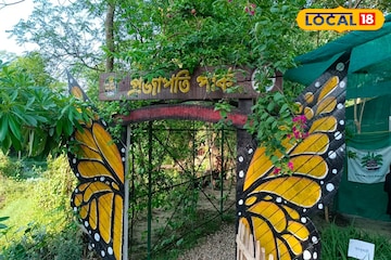 গরমে থাকুন 'সুপারকুল', এখানে গেলেই শরীর ও মন ঠান্ডা! ছুটির দিনে একবার ঢুঁ মারুন গরমে থাকুন 'সুপারকুল', এখানে গেলেই শরীর ও মন ঠান্ডা! ছুটির দিনে একবার ঢুঁ মারুন