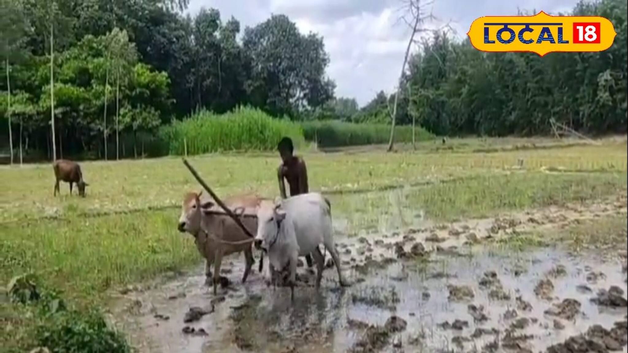 ভোট নিয়ে গ্রামের কৃষকরা কী বলছেন?