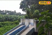 পার্কে ঘুরে বেড়াচ্ছে সাপ, রাত হলেই চলে অসামাজিক কাজ! সংস্কারের দাবি স্থানীয়দের
