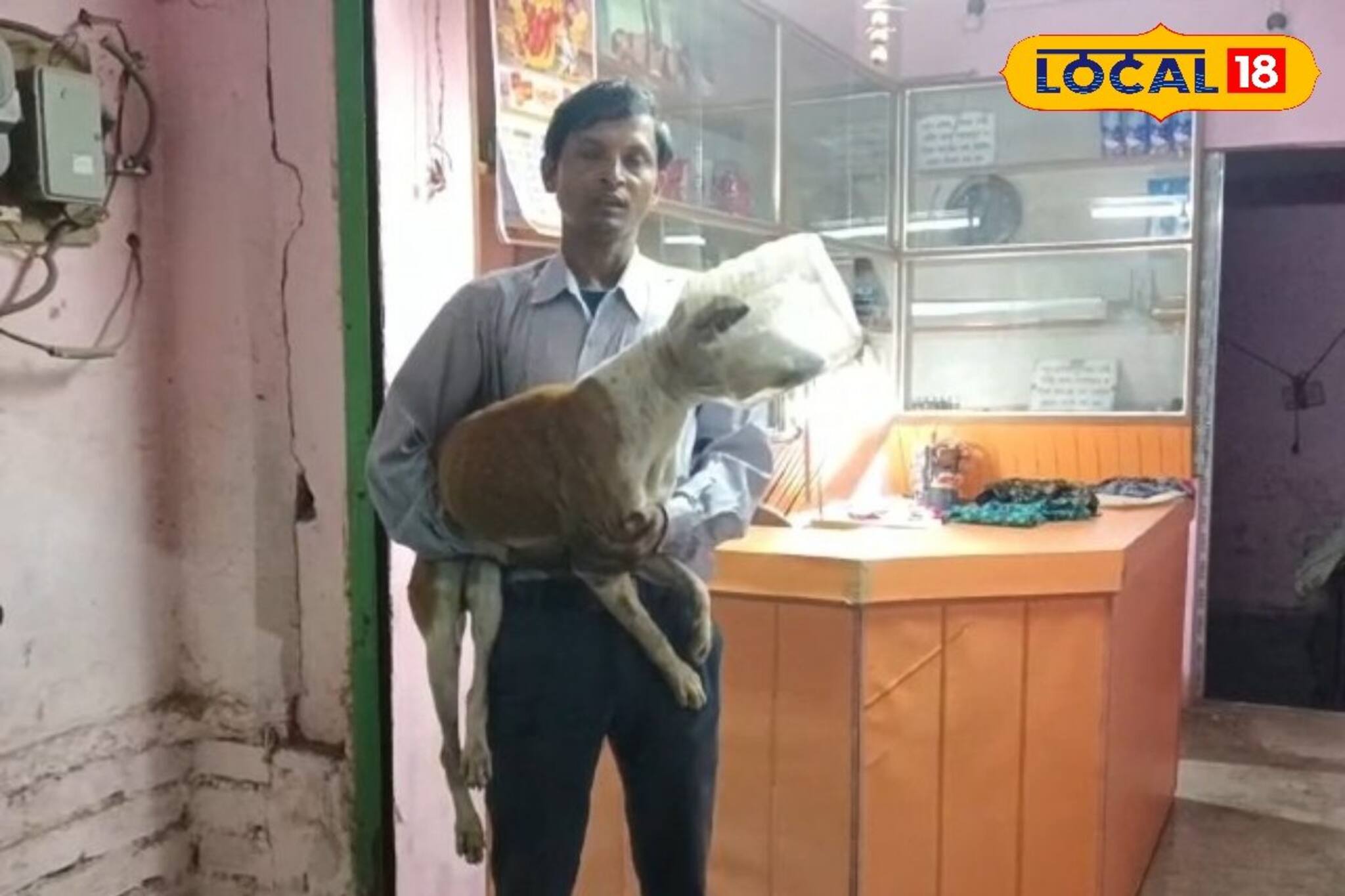 মুখে আটকে প্লাস্টিকের কৌটো, এক সপ্তাহ না খেয়ে সারমেয়! তারপর যা হল...