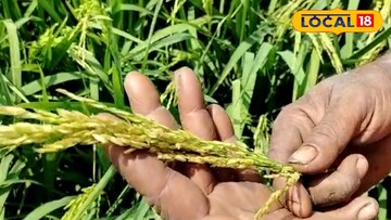 কৃষকদের