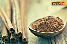 কোলেস্টেরল থেকে পিরিয়ডের সমস্যা! বহু জটিল রোগের ওষুধ রান্না ঘরের এই চেনা মশলা!