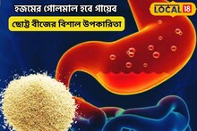 হজমের সমস্যা হবে গায়েব,ছোট্ট এই বীজের বিরাট উপকারিতা! জানলে রীতিমত চমকে উঠবেন