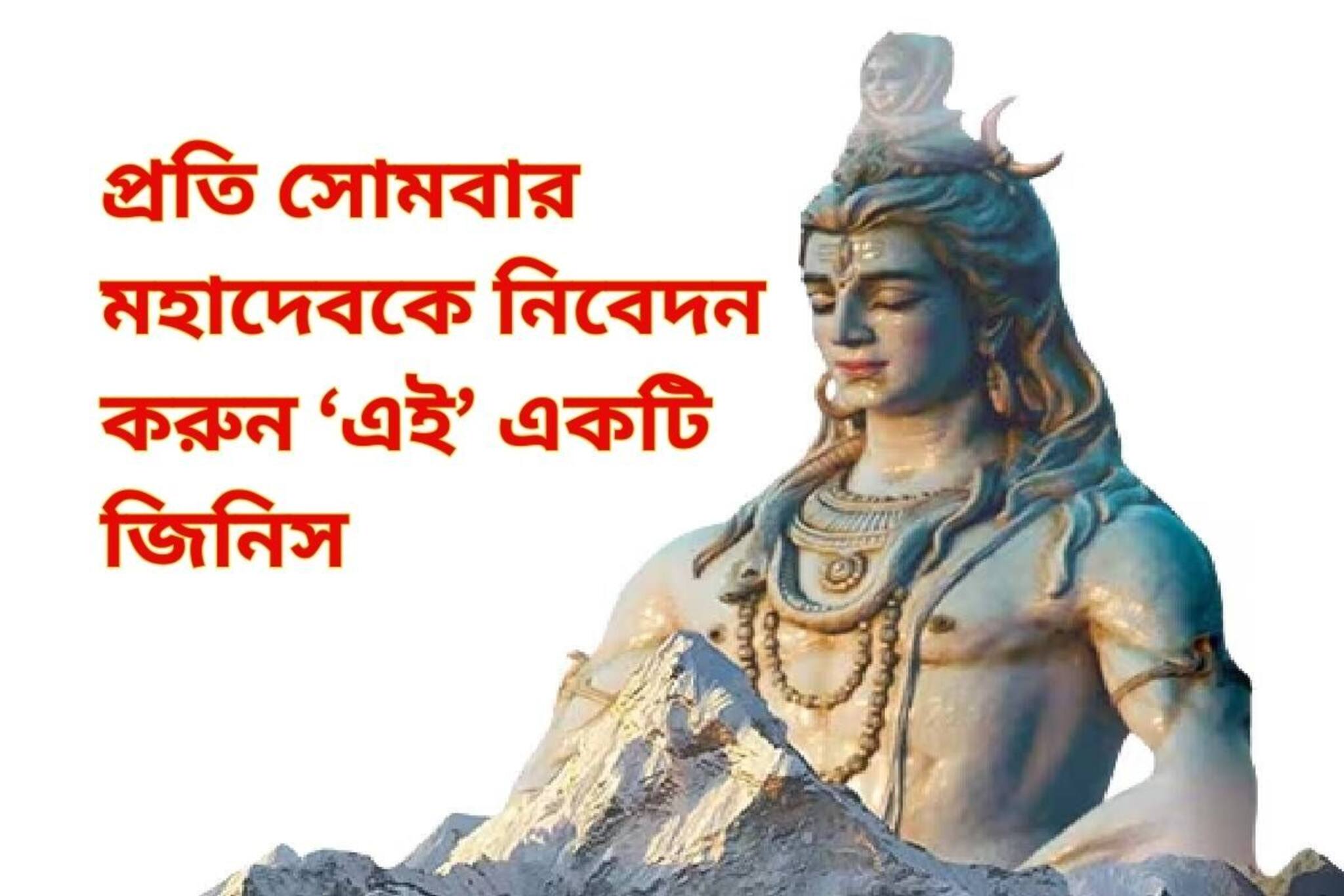 সোমবার সোমবার মহাদেবকে নিবেদন করুন শুধু এই একটি জিনিস! পূর্ণ হবে সব মনোস্কামনা..