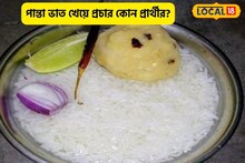 ভোট প্রচারের মাঝে পান্তা ভাত-ভাজা লঙ্কা খেলেন কোন প্রার্থী?