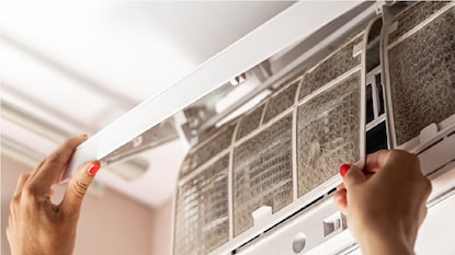 প্রতীকী ছবি প্রতীকী ছবি