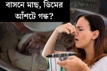 বাসনে মাছ, ডিমের আঁশটে গন্ধ? এই ৫ টিপস মনে রাখুন, গন্ধের নামগন্ধও থাকবে না