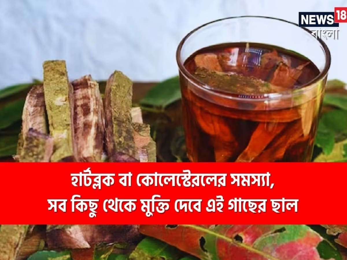 অস্বাস্থ্যকর জীবনযাপন এবং অনিয়মিত খাদ্যাভ্যাস বর্তমানে অনেক মারাত্মক রোগের কারণ হয়ে উঠছে। বিশেষ করে হার্ট সংক্রান্ত সমস্যা এখন যেন প্রায় প্রতিটি ঘরেই দেখতে পাওয়া যায়। এই রোগগুলিকে বিশ্বব্যাপী সমস্যা হিসেবেই দেখা হচ্ছে। সারা বিশ্বে প্রতিদিন কত মানুষ এই রোগের শিকার হচ্ছে তা গণনা করা সম্ভব নয়। এর থেকে উপশম পেতে অনেকেই নানা ধরনের অ্যালোপ্যাথিক ওষুধ খান, তবুও সমস্যা দূর হয় না। সেক্ষেত্রে রোগীরা আয়ুর্বেদের সাহায্য নিতে পারেন।