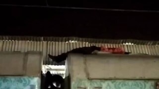 ঘণ্টা প্রতি ১০০ কিলোমিটার গতিবেগে ছুটে চলা ট্রেনের ছাদে পড়ে রয়েছেন যুবক, তারপর যা ঘটল… শিউরে উঠছেন নেটিজেনরা ঘণ্টা প্রতি ১০০ কিলোমিটার গতিবেগে ছুটে চলা ট্রেনের ছাদে পড়ে রয়েছেন যুবক, তারপর যা ঘটল… শিউরে উঠছেন নেটিজেনরা