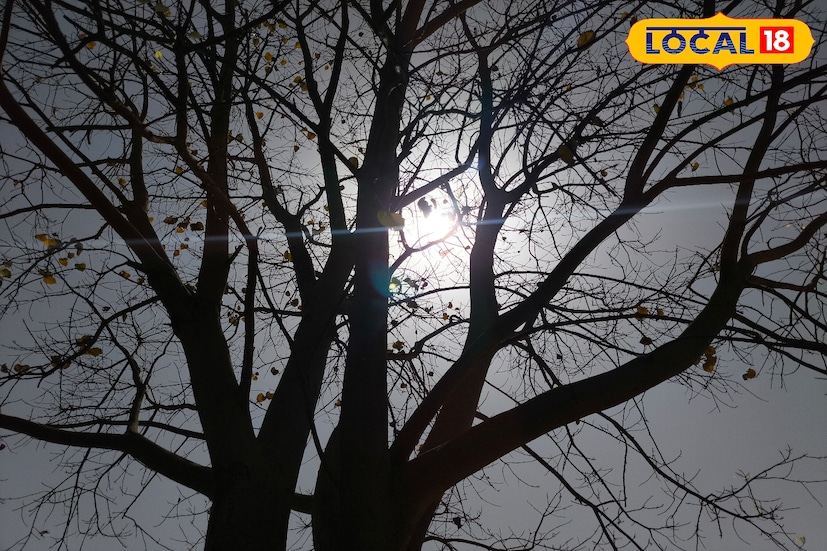 সোমবার অতিবেগুনি রশ্মির পরিমাণ অত্যন্ত বেশি থাকবে। উচ্চমাত্রায় অতিবেগুনি রশ্মি থাকার কারণে গা ঢাকা জামাকাপড় ব্যবহার করার পরামর্শ দিচ্ছেন চর্মরোগ বিশেষজ্ঞরা। 