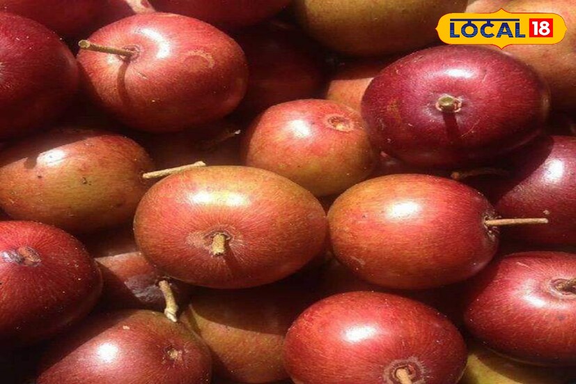 বৈঁচি ফলে রয়েছে আয়রন, ফসফেট, সালফার-সহ নানা খনিজ উপাদান। যা শারীরিক নানা কাজে সহায়তা করে। এছাড়াও রয়েছে ভিটামিন সি।