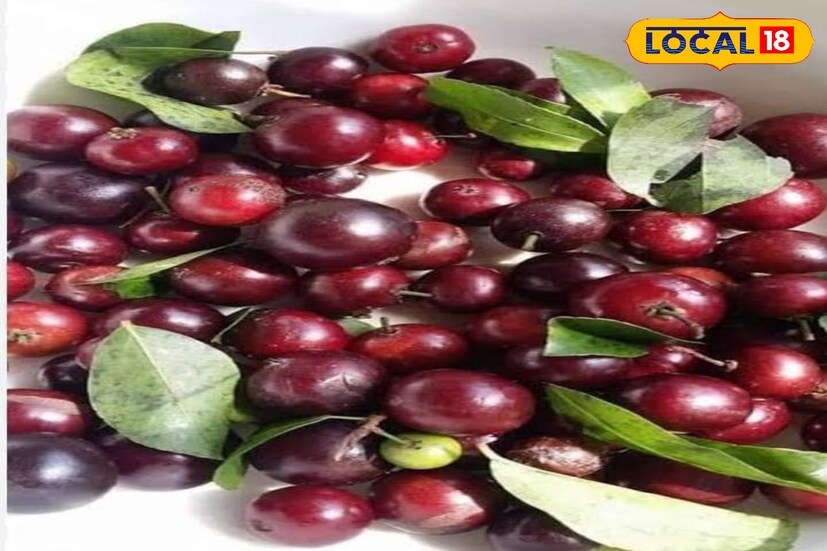মূলত গরমের সময় এই ফল হয়। বিশেষজ্ঞরা মনে করেন, এই ফল খেলে হজমশক্তি বৃদ্ধি পায়, হৃদযন্ত্র ভাল রাখে।