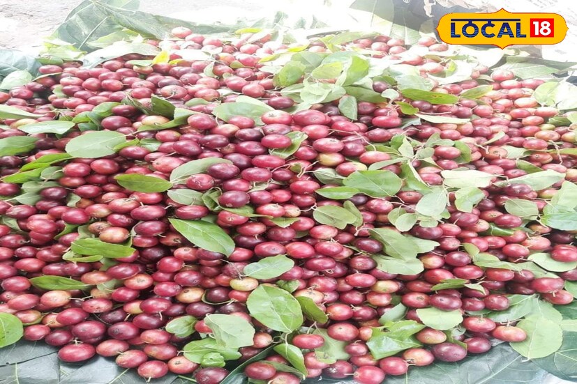 পুষ্টিবিদ বিশ্বজিৎ দাস বলেন, শুধু এই গাছের ফল না পাতা, শেকড়ও মহৌষধি।