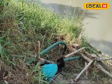 চাষের