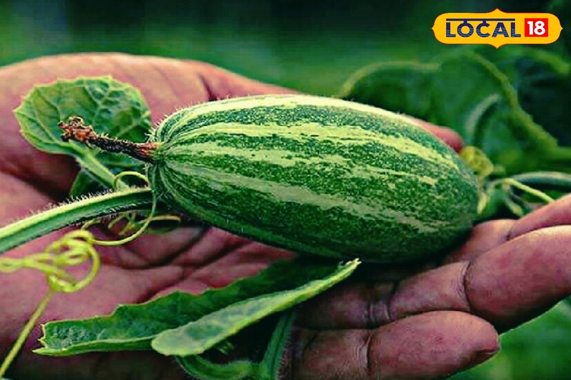 জল কম খেলে, তৈলাক্ত ও চর্বিযুক্ত খাবার বেশি খেলে কোষ্ঠকাঠিন্যের সমস্যা দেখা দেয় মানব শরীরে। রোজকার ডায়েটে পটল রাখলে এই সমস্যা থেকে দ্রুত মুক্তি পাওয়া সম্ভব সহজ ভাবে।