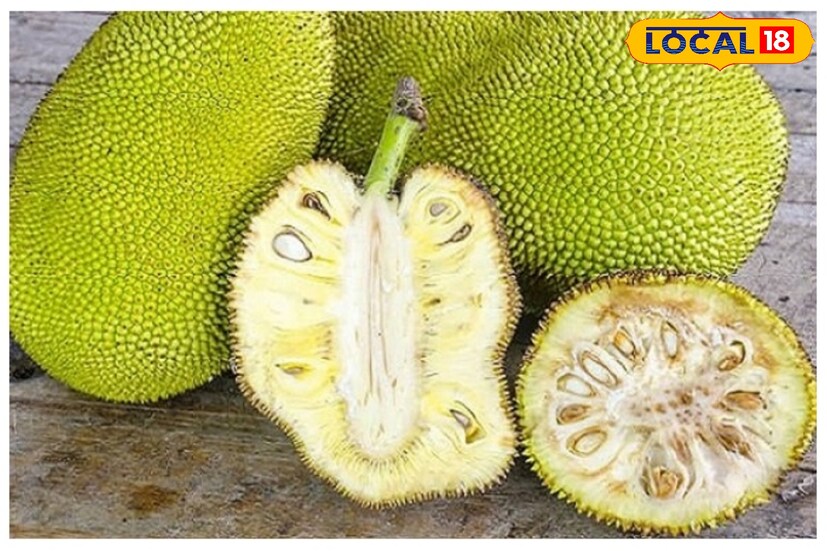 *পুষ্টিবিদদের মতে, এঁচোড়ের মধ্যে থাকে পটাশিয়াম, ফাইবার এবং অ্যান্টিঅক্সিডেন্ট। ফলে কাঁচা কাঁঠাল বা এঁচোড়ের তরকারি হৃদরোগের ঝুঁকি কমাতে সাহায্য করে।