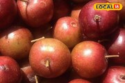 গরমেই পাওয়া যায়, ফল-পাতা-শেকড় ব্যথা তাড়ানোর 'পেইনকিলার'! সংগ্রহ করে রাখুন আজই