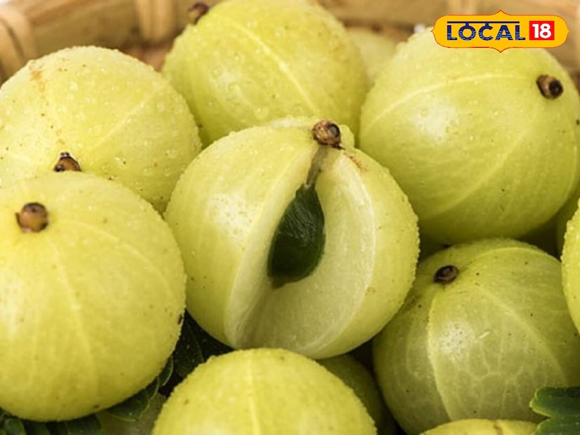 ডক্টর মিলটন বিশ্বাসের কথায় আমলকির রস মানব শরীরে রক্তে কোলেস্টেরলের মাত্রা কমায় এবং শরীরের মধ্যে চর্বি জমা হতে দেয় না। পাশাপাশি আমলকির রসে থাকা হাই ফ্যাট বার্নিং প্রপার্টিজ দ্রুত ওজন কমানোর ক্ষেত্রে বিশেষভাবে সাহায্য করে। তবে শুধু তাই নয় আমলকি দ্রুত খাবার হজম করতে সহায়তা করে photo source collected 