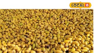 ‘রাজফল’ খেয়েছেন? গরমকালেই পাওয়া যায়, ক্যানসার ও মৃগী রোগীদের জন্য উপকারি