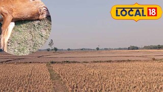 ফাঁকা মাঠে দূরে ওটা কী? কাছে যেতেই শিউরে উঠলেন গ্রামবাসী! মর্মান্তিক কাণ্ড ফাঁকা মাঠে দূরে ওটা কী? কাছে যেতেই শিউরে উঠলেন গ্রামবাসী! মর্মান্তিক কাণ্ড