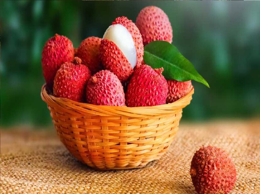 এর পাশাপাশি লিচুতে অলিগোনল থাকে; যা নাইট্রিক অক্সাইড তৈরিতে সাহায্য করে।