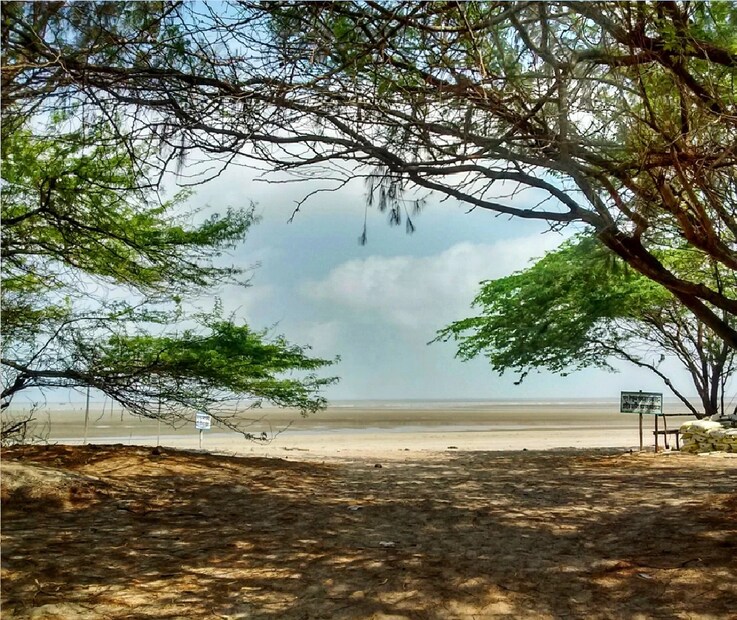 সারা সপ্তাহে তুলনামূলক ফাঁকা থাকে মৌসুনি। ভিড় বাড়ে সপ্তাহান্তে। এই দ্বীপে সূর্যোদয় এবং সূর্যাস্ত দেখলে আপনার মন ভাল হতে বাধ্য।