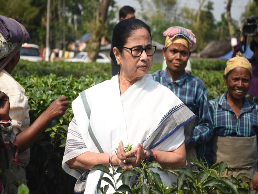 চা বলয়ে চা পাতা তুলে চা বানালেন মুখ্যমন্ত্রী, ভোটপ্রচারের আগে ভিন্ন মেজাজে মমতা। বৃহস্পতিবার থেকে উত্তরবঙ্গে নির্বাচনী জনসভা শুরু করবেন মমতা বন্দ্যোপাধ্যায়। তার আগেই চালসায় ভিন্ন মেজাজে দেখা গেল মুখ্যমন্ত্রীকে। (রিপোর্টার-- সোমরাজ বন্দ্যোপাধ্যায়)