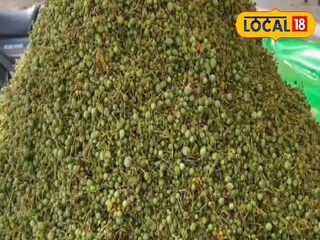 আমন্ডের থেকেও দামি; তবুও বর্তমানে ভিটামিন-প্রোটিন সমৃদ্ধ মারওয়াড়ের এই শুষ্ক সবজির চাহিদা তুঙ্গে