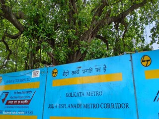এরকমই ২৯টি গাছ সরিয়ে নিয়ে যাওয়া হবে৷ 