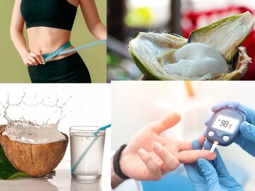 ডাব না নারকেল? কোনটার জল ও শাঁস ওজন কমায়? ব্লাড সুগার নিয়ন্ত্রণে কোন ফলে? জানুন ডাব না নারকেল? কোনটার জল ও শাঁস ওজন কমায়? ব্লাড সুগার নিয়ন্ত্রণে কোন ফলে? জানুন