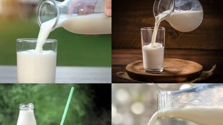 ফ্রিজ ছাড়াই বাড়িতে টাটকা তাজা রাখুন জ্বাল দেওয়া দুধ