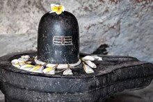 এই বিশেষ বেলপাতা এভাবে নীলষষ্ঠীতে নিবেদন করুন মহাদেবকে, সন্তানের মঙ্গল হবে