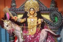 আজ শীতলাপুজোয় এই গাছে জল দিন! অর্থপ্রাপ্তি, সন্তানের মঙ্গল ও দাম্পত্য সুখের হবে