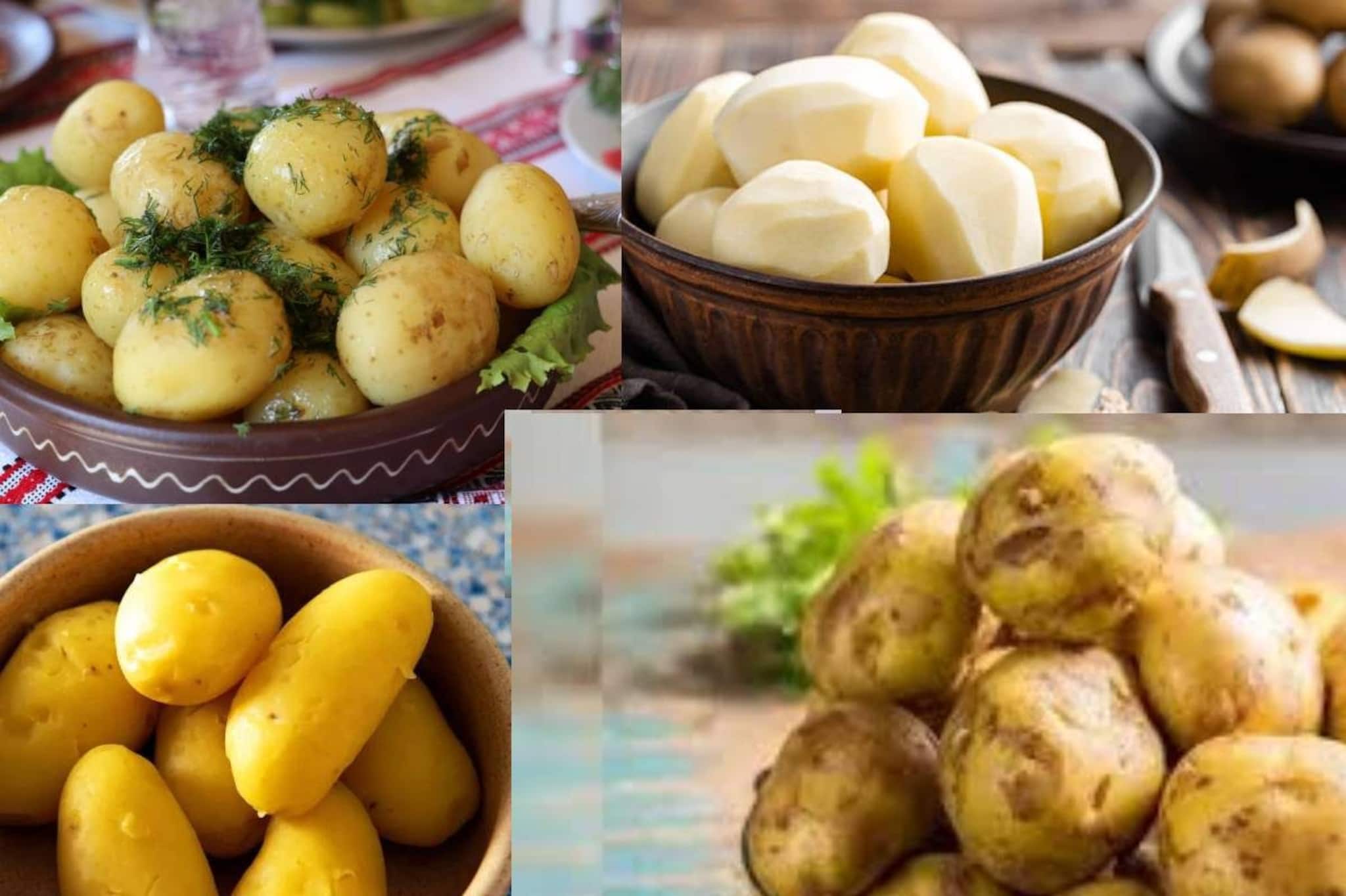 বাড়তি আলুসিদ্ধ রাখছেন ফ্রিজে? ভয়ঙ্কর ভুল! ওই খাবার কীসে পরিণত হচ্ছে, জানুন!