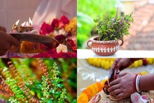 চৈত্র সংক্রান্তিতে তুলসিগাছে করুন এই কাজ, খান এই খাবার! নববর্ষে অর্থবৃষ্টি জীবনে