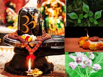 নীলষষ্ঠীতে এই ২ ফল ও ‘এই’ কালো দানা নিবেদন করুন মহাদেবকে, সন্তানের মঙ্গল হবে