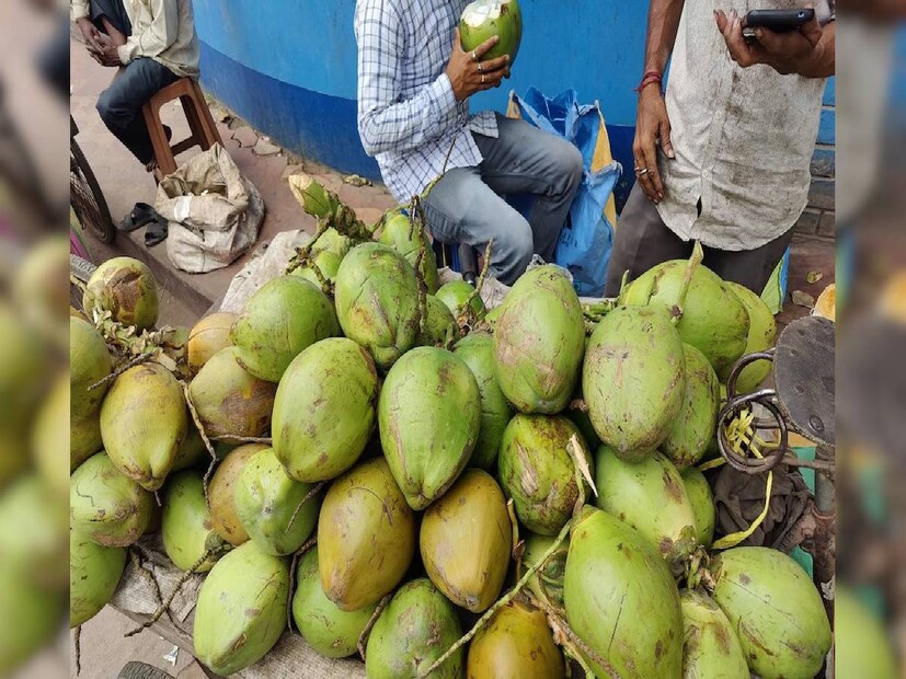 অত্যধিক ডাবের জল খেলে কিছু লোকের মধ্যে গ্যাস এবং পেটে ফোলা ভাবের মতো সমস্যা হতে পারে। সবুজ ডাবের জল পান করা নিরাপদ কারণ এতে সুগার কম থাকে। ২০০ মিলি পর্যন্ত ডাবের জল পান করলে রক্তে শর্করার মাত্রা বজায় রাখা যায়। এছাড়াও, মনে রাখবেন যে ডাবের জল অন্য যে কোনও চিনিযুক্ত পানীয়, আইসক্রিম, ফলের রসের চেয়ে অনেক ভাল। 
