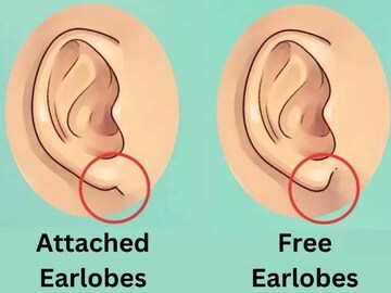 নিজের কোনও দোষ চোখে পড়ে না? কানের লতি বলে দেবে আপনার চরিত্র! মিলিয়ে দেখে নিন তো