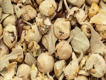 সুগারের ওষুধকে রাখুন দূরে, রোজ সকালে ভিজিয়ে খান ৭-৮টি এই ফুল, ৭ দিনেই মিলবে ফল